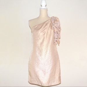 Alexia Admore champagne dress